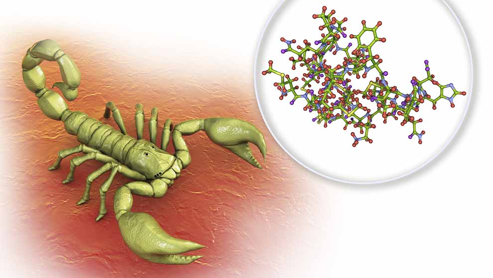 Custom LIMS Software for Engineered Mini-Proteins